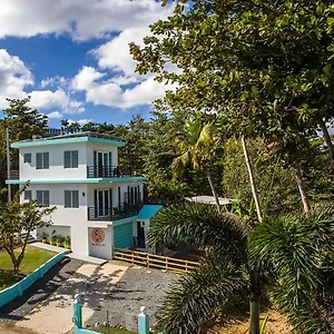 The Pad Puntas Rincon